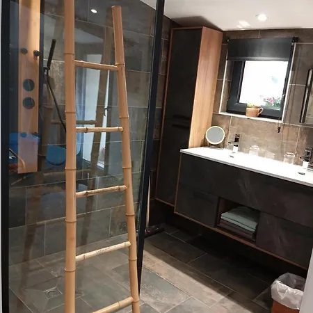 Maison Simon 30' Puy Du Fo Climatise Chantonnay