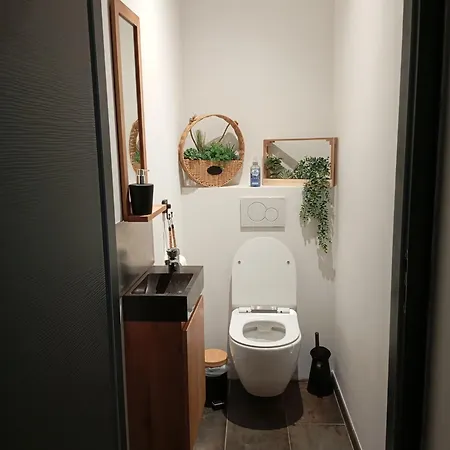 Feriehus Maison Simon 30' Puy Du Fo Climatise *