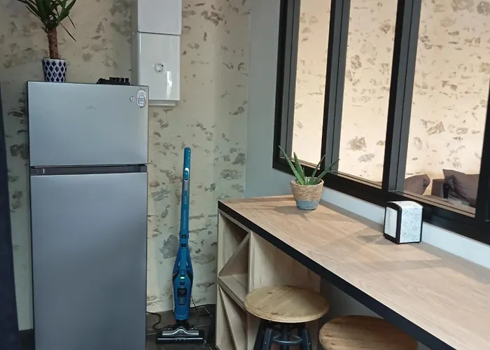 Vakantiehuis Maison Simon 30' Puy Du Fo Climatise