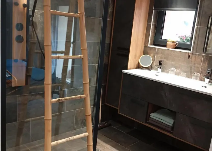 Maison Simon 30' Puy Du Fo Climatise Chantonnay