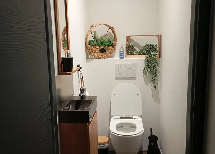 Vakantiehuis Maison Simon 30' Puy Du Fo Climatise *